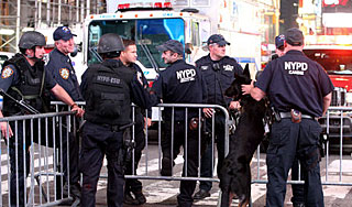 В Нью-Йорке арестовали сотню мафиози В Нью-Йорке арестовали сотню мафиози