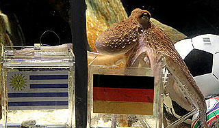 В Германии поставили памятник осьминогу В Германии поставили памятник осьминогу