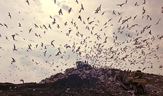 ������� ������� ���� ������� � �����