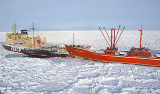 "����� �������" ������ �� ������ ����