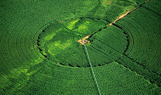 ����� � ���� ��������� ������ ���������