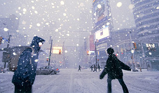 �������� ����������� ��������� ���