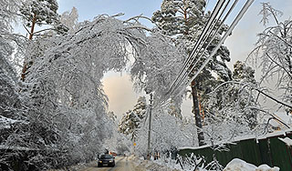 ������� ����� ����� ������ ���������