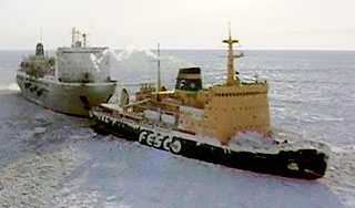 В Охотском море спасли пленников льда В Охотском море спасли пленников льда