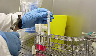 Гормон любви оказался агрессивен Гормон любви оказался агрессивен