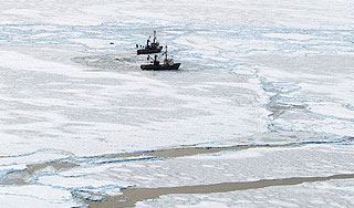 Ледовый плен лишил капитана судна работы Ледовый плен лишил капитана судна работы