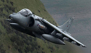 Ребенок купил боевой истребитель на eBay Ребенок купил боевой истребитель на eBay