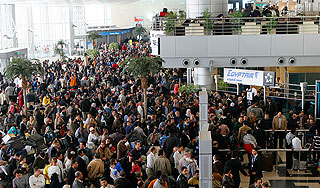 Россиян вернут из Египта за два дня Россиян вернут из Египта за два дня