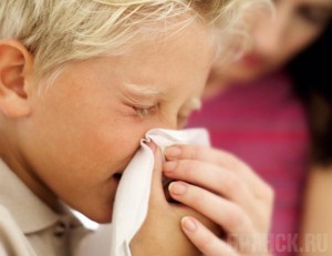 Свиной грипп подхватили уже 24 человека