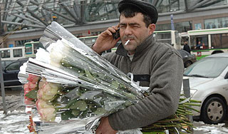 В Москве в три раза подорожали живые цветы В Москве в три раза подорожали живые цветы