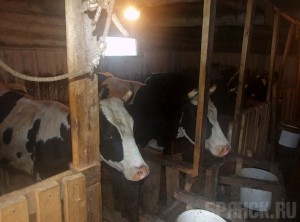 Финансирование получат десять агрогородков