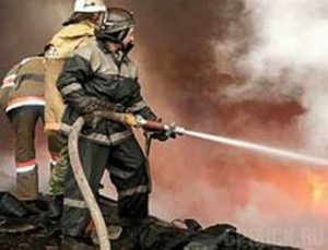 На ферме едва не сгорели 211 коров