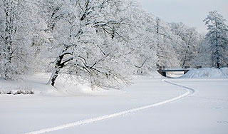 Лютые морозы задержатся до самой весны Лютые морозы задержатся до самой весны