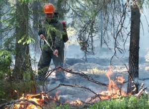 Спасатели начали подготовку к пожароопасному сезону