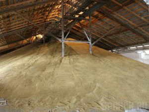 Унечский комбинат хлебопродуктов не обеспечил сохранность зерна
