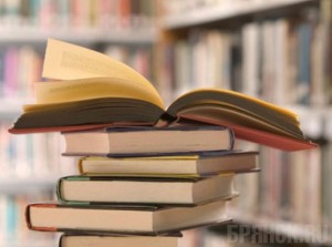 Брянск и польский город Конин обменяются литературным опытом