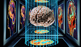 Физики ищут способ жить миллион лет Физики ищут способ жить миллион лет