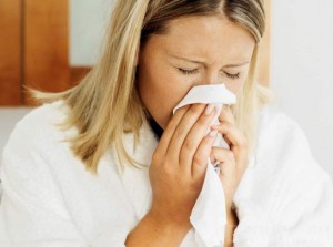 Высокопатогенный грипп продолжает свирепствовать