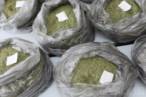 На станции «Суземка» предотвратили контрабанду марихуаны