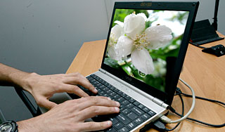 В Китае запретили цветок жасмина В Китае запретили цветок жасмина