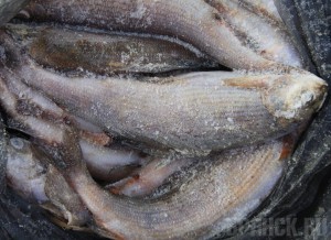 Владельцев магазинов заставили утилизировать сомнительную продукцию