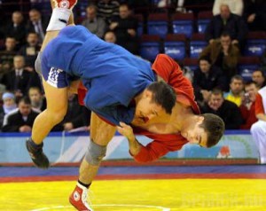 На фестивале единоборств брянцы оказались на высоте