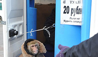 Чиновника накажут за "туалетный откат" Чиновника накажут за "туалетный откат"