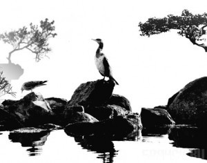 Феодосийские фотохудожники покажут свои работы