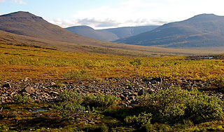 Циклон установил рекорд тепла в России Циклон установил рекорд тепла в России