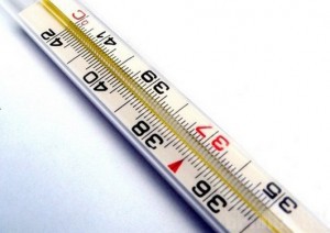 Высокопатогенный грипп не сдает позиции