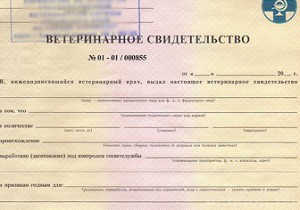 Председателя СПК «Рассвет» признали виновным в подделке документа