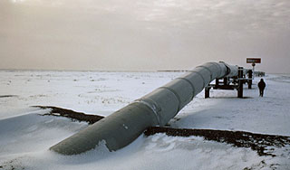 Суд запретил нефтяникам работать в Арктике Суд запретил нефтяникам работать в Арктике