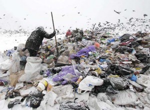 На окраине климовского села Крапивное выросли горы мусора