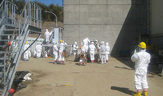 Японии обещают долгий ядерный кризис Японии обещают долгий ядерный кризис