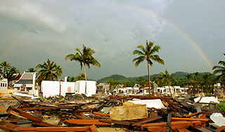 Курорты Таиланда названы зонами бедствия Курорты Таиланда названы зонами бедствия