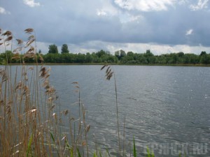 Стародубское озеро едва не передали в частные руки