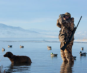 Россиянам запретят стрелять уток из Японии Россиянам запретят стрелять уток из Японии