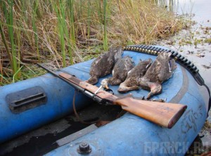 Открылся сезон охоты