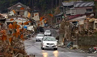 В зону отчуждения направляют ветеринаров В зону отчуждения направляют ветеринаров