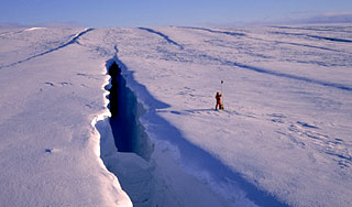 Арктические льды пугают ученых Арктические льды пугают ученых