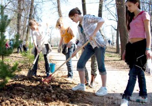 Брянцев пригласили озеленить свой город