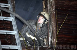 В прошлом году в пожарах погибло около 30 человек