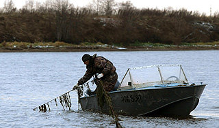 Под Ростовом поймали гигантскую пиранью Под Ростовом поймали гигантскую пиранью