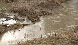 Воду в Москве отравили нафталином Воду в Москве отравили нафталином