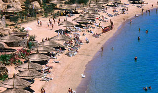 Вирус убивает детей на курорте Египта Вирус убивает детей на курорте Египта