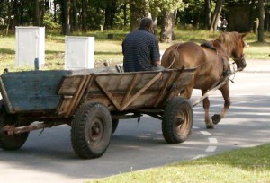 Гужевая повозка протаранила иномарку
