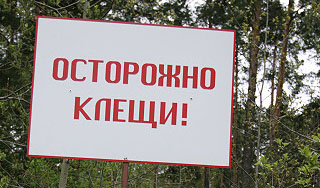 Пропавшего ребенка покусали 47 клещей Пропавшего ребенка покусали 47 клещей