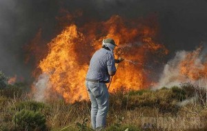 Начался набор добровольцев для борьбы с лесными пожарами