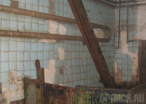 На мясокомбинатах обнаружили серьезные нарушения