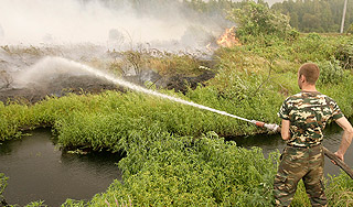Москву спасут от летнего смога Москву спасут от летнего смога
